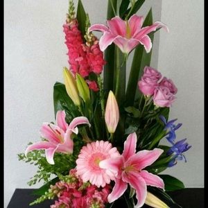 Meet your Posher, Juanita